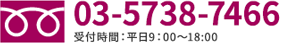 03-5738-7466